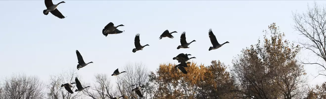 Metsästystarvikkeet 60