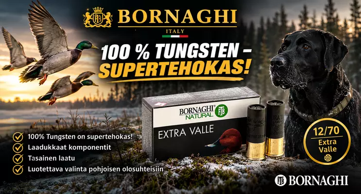 Bornaghi patruunat 96