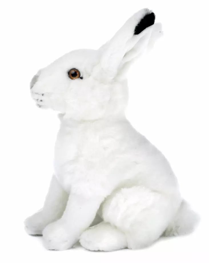 Pehmolelu Metsäjänis talviturkissa 28cm - Lapsille - 6430018776590 - 1