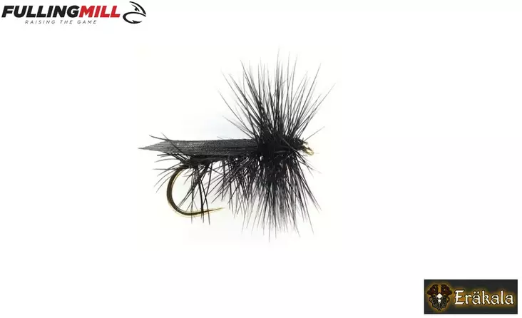 Sedge Black Italy S10 Pintaperho - Pintaperhot - 176210 - 1