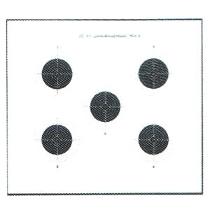 Tarkka Pienoiskivääritaulu 25m No. 6 - Maalitaulut - 6410362400600 - 1