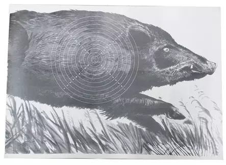 Karjutaulu 50m, 2-päinen - Maalitaulut - karjutaulu-50m-1 - 1