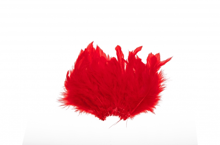 Eumer schlappen punainen - Sulat, höyhenet, päät, pyrstöt - 6430028182961 - 1