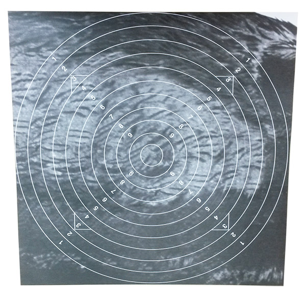 Karjutaulun keskiö 50m 10kpl - Maalitaulut - karju-keskio-1 - 1