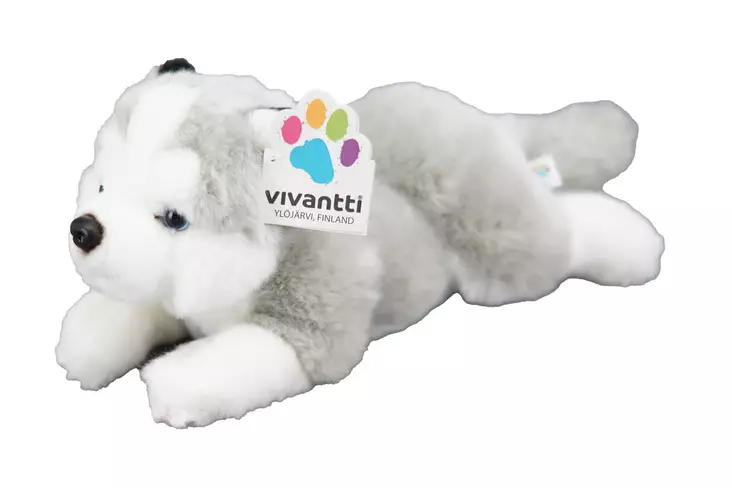 Koirapehmolelu Huskynpentu - Lapsille - 6430018770741 - 1