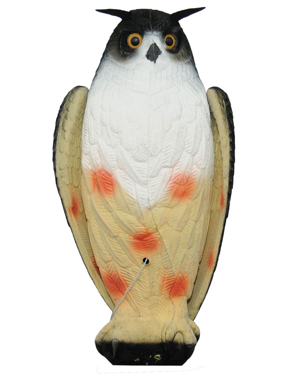 Live Owl Huuhkaja kaave - Haittalintujen Metsästykseen - LO001 - 1