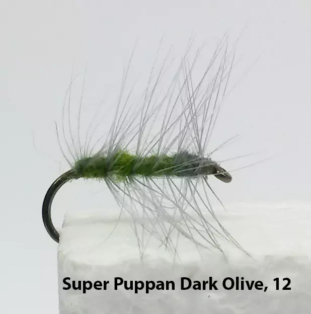 Super Puppan pintaperho - Pintaperhot - B1251 - 3