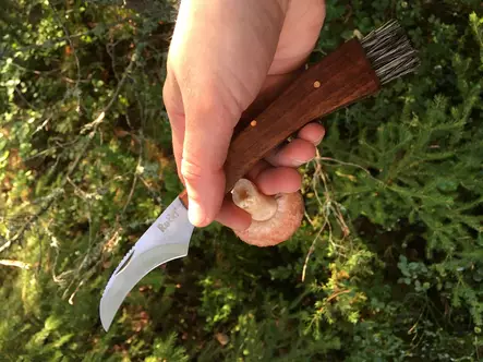 Sieniveitsi taittuvalla ruusupuukahvalla - Veitset - R5642 - 2