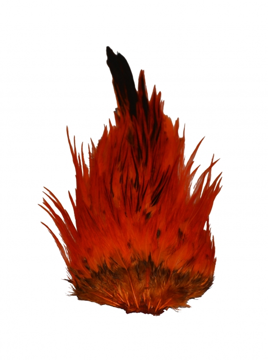 Eumer intialainen kukonsatula - oranssi - Sulat, höyhenet, päät, pyrstöt - 6430030455862 - 1