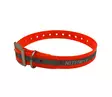 NITEforce Reflex Heijastinpanta, Dogtek Reflex koirapanta - Kaulapannat - 900-013 - 1