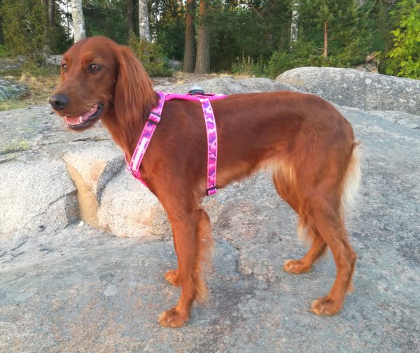 KarDog Hulda Camovaljas Pinkki - Valjaat - 6430067781903 - 1