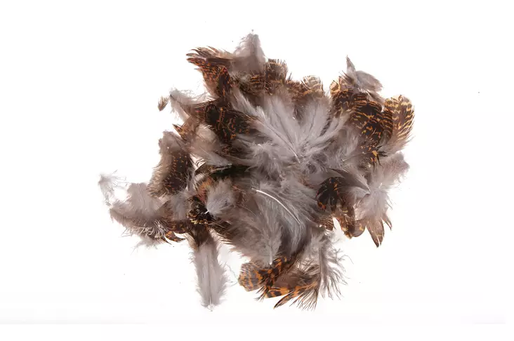 Veniard Peltopyyn irtosulkia - Sulat, höyhenet, päät, pyrstöt - 762820008603 - 1