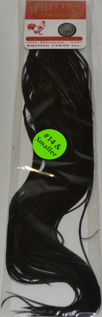 Whiting Silver pintaperhosatula musta - Niskat, satulat, siivet - 616044103883 - 2