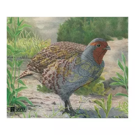 Jousiammuntataulu JVD Peltopyy - Maalitaulut - jvd-pyy-102834 - 1