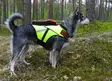 KarDog Jehu kelluttava GPS-huomioliivi - GPS Liivit - 6430067781804 - 2