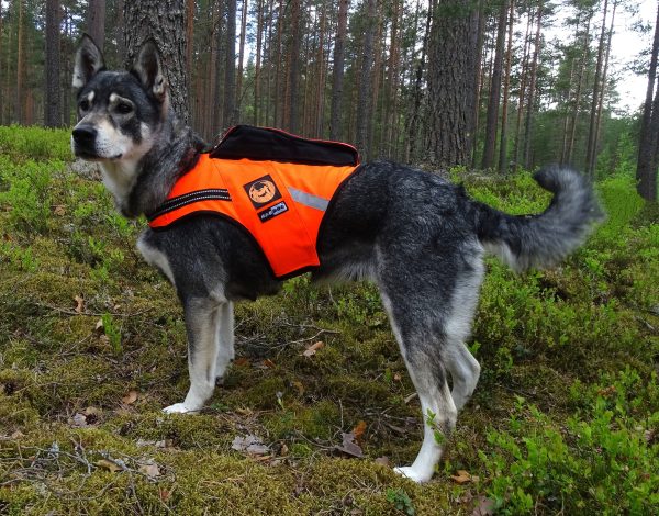 KarDog Jehu kelluttava GPS-huomioliivi - GPS Liivit - 6430067781804 - 1