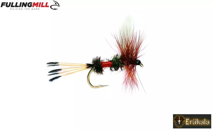 Royal Coachman S14 Pintaperho - Pintaperhot - 175614 - 1