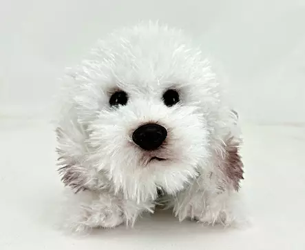 Koirapehmolelu Bischon Frise - Lapsille - 6430018771885 - 1