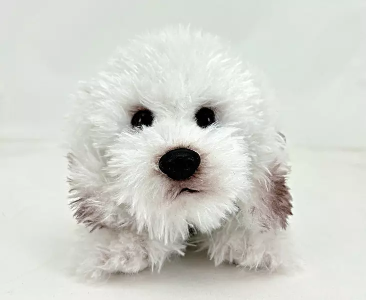 Koirapehmolelu Bischon Frise - Lapsille - 6430018771885 - 1