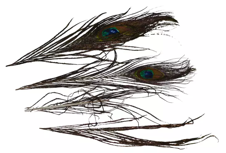 Eumer Riikinkukonsulka large luonnonväri - Sulat, höyhenet, päät, pyrstöt - 6430028182497 - 1