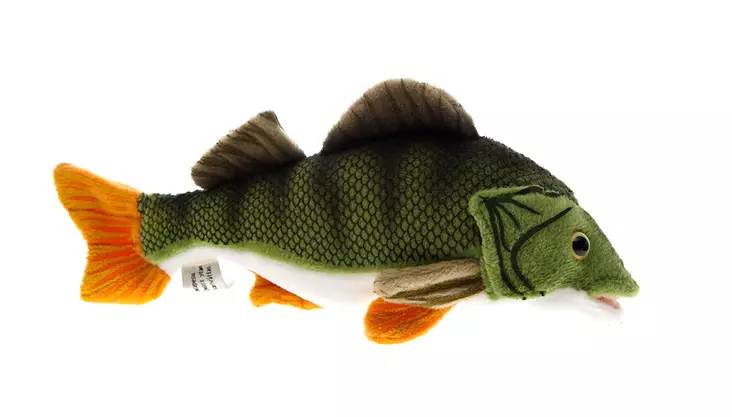 Pehmokala Ahven 25cm - Lapsille - 4028667113457 - 1