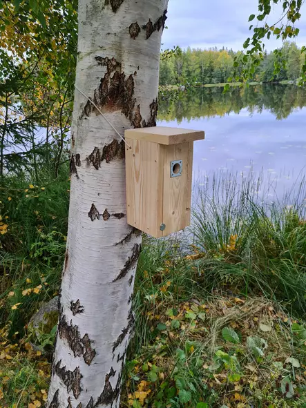 Linnunpönttö 28mm aukolla valmiiksi koottuna - Muut Tuotteet - 6417036080298 - 2