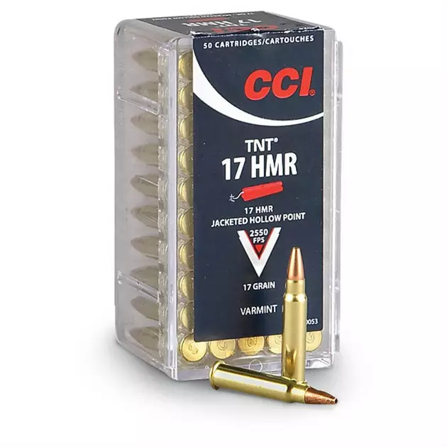 CCI TNT JHP 1,1g .17 HMR - Pienoiskiväärin patruunat - 076683000538 - 1