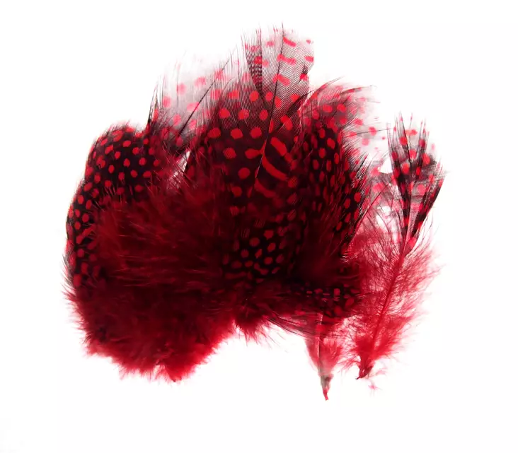 Eumer Helmikana punainen - Sulat, höyhenet, päät, pyrstöt - 762820008498 - 1