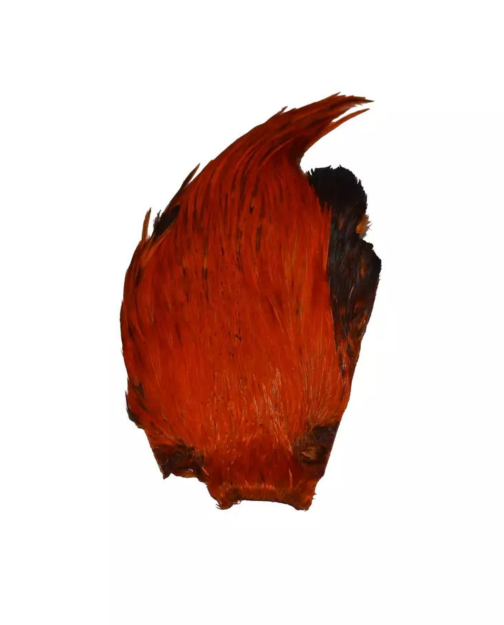 Eumer intialainen kukonniska - oranssi - Sulat, höyhenet, päät, pyrstöt - 6430030455718 - 1