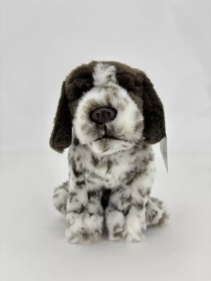 Koirapehmolelu Pointteri - Lapsille - 3770024871319 - 1