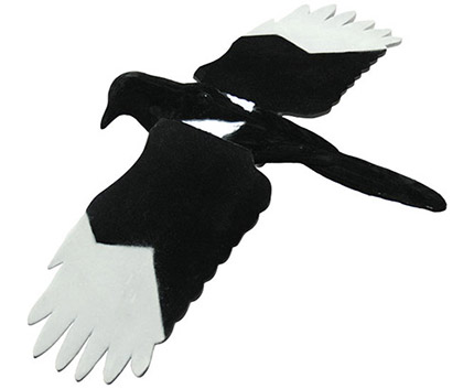 Live Magpie Harakka erillisillä siivillä - Haittalintujen Metsästykseen - siipiharakka - 1