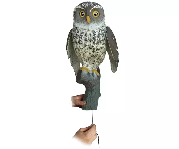 SportPlast P=C3=B6ll=C3=B6 haittalintu kaave - Haittalintujen Metsästykseen - pollo-kaave-pieni - 1