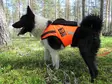 KarDog Raipe GPS-huomioliivi 2-värinen - GPS Liivit - KARDOG-RAI-S - 4