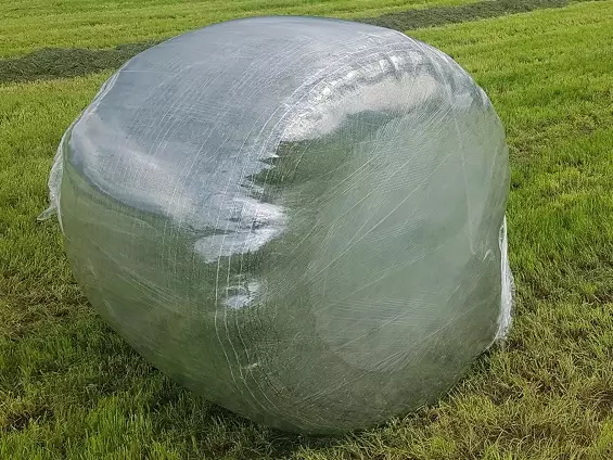 Käärintäkalvo Raldus 750mm läpinäkyvä 25µ - Käärintäkalvot ja Paalaustarvikkeet - TR750_RALDUSPLAST - 1